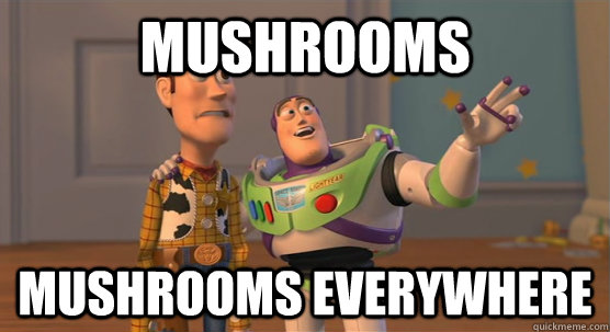 mushrooms mushrooms everywhere  Toy Story Everywhere