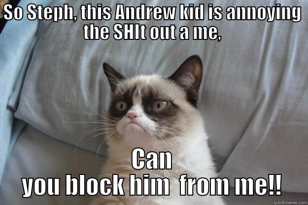 SO STEPH, THIS ANDREW KID IS ANNOYING THE SHIT OUT A ME, CAN YOU BLOCK HIM  FROM ME!! Grumpy Cat