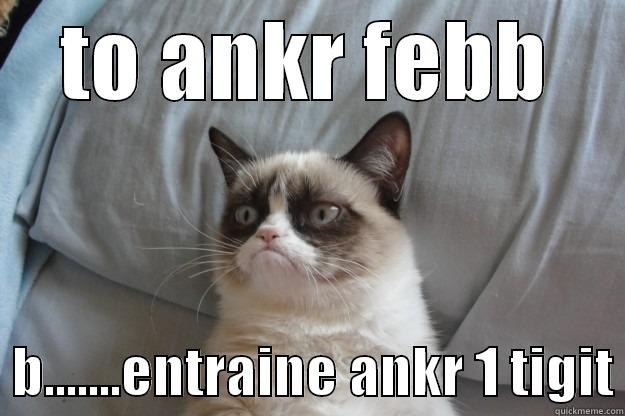 TO ANKR FEBB   B.......ENTRAINE ANKR 1 TIGIT Grumpy Cat