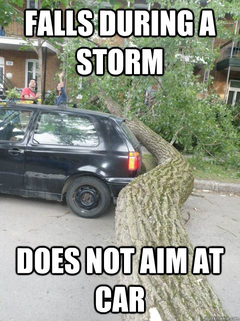 Falls during a storm does not aim at car  