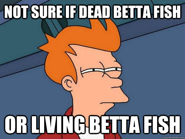 Not sure if dead betta fish or living betta fish  Futurama Fry