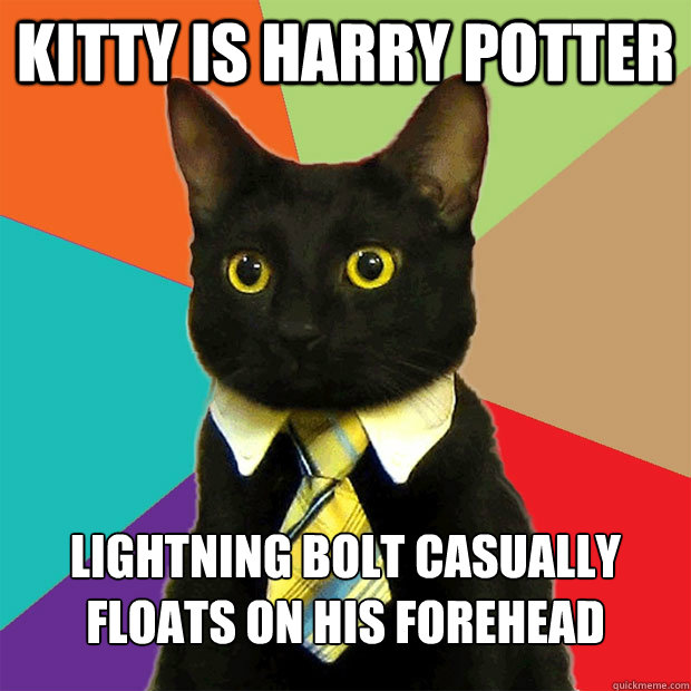 KITTY IS HARRY POTTER LIGHTNING BOLT CASUALLY FLOATS ON HIS FOREHEAD  Business Cat