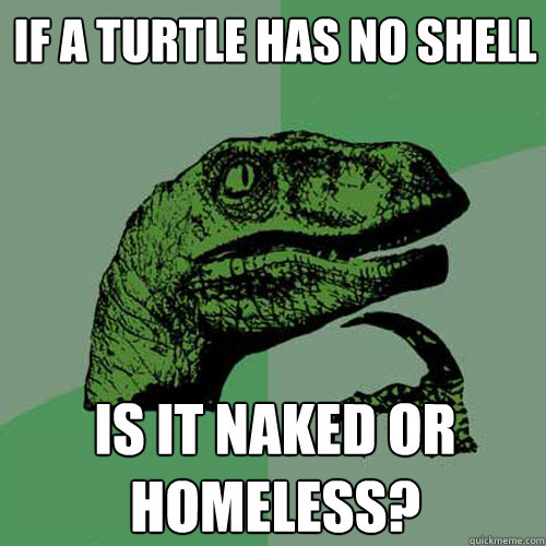 If a turtle has no shell Is it naked or homeless?  Philosoraptor