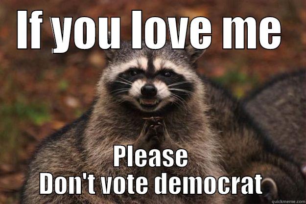 IF YOU LOVE ME PLEASE DON'T VOTE DEMOCRAT Evil Plotting Raccoon