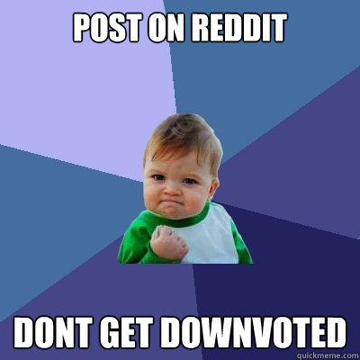 Post On Reddit Dont Get Downvoted  Success Kid