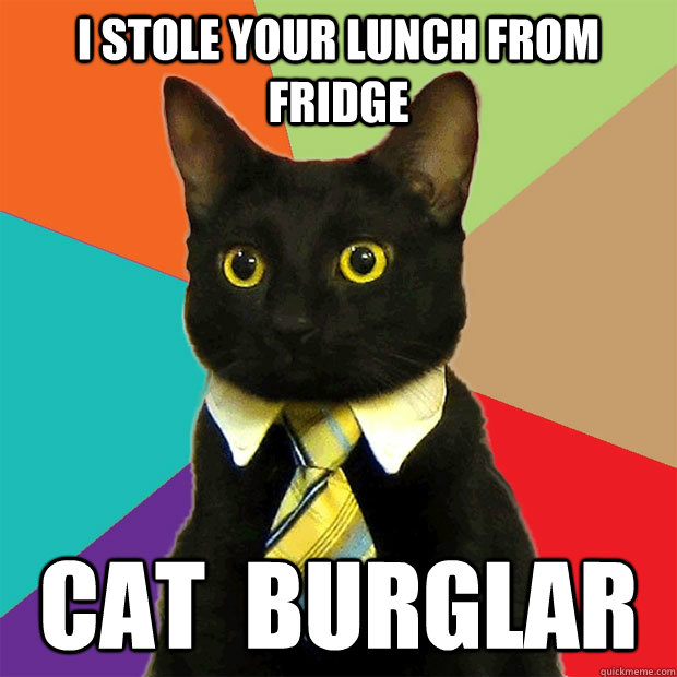 I STOLE YOUR LUNCH FROM FRIDGE Cat  burglar  Business Cat