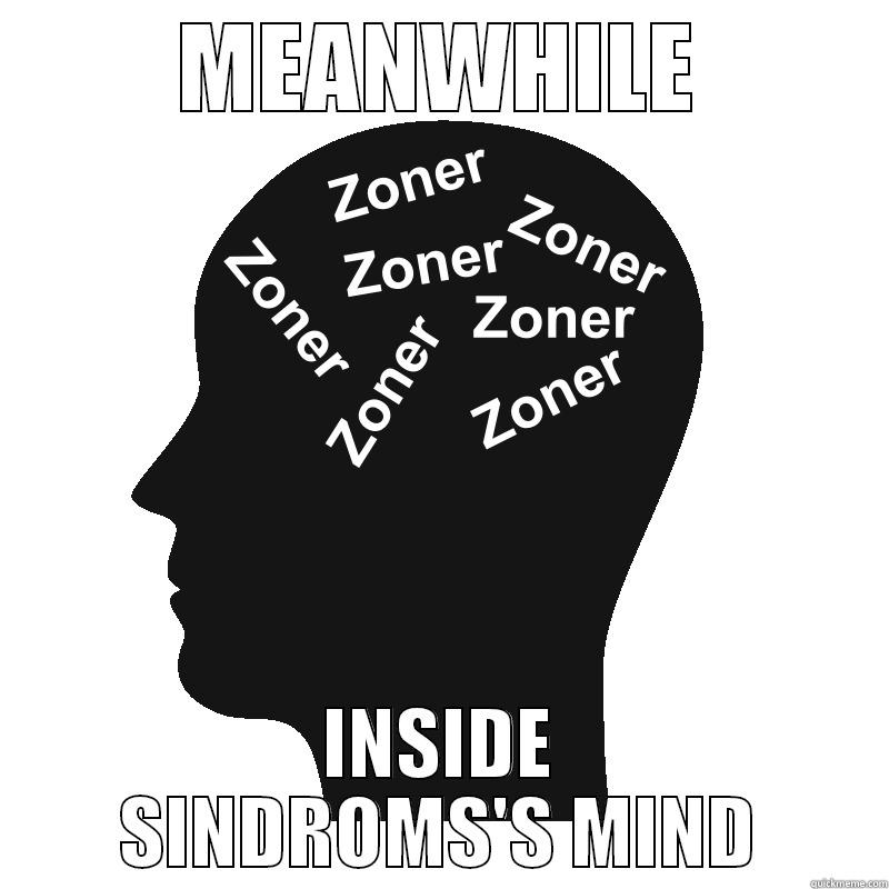 ZONER ZONER ZONER - MEANWHILE INSIDE SINDROMS'S MIND Misc