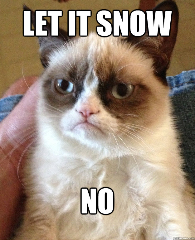 Let it snow No - Let it snow No  Grumpy Cat