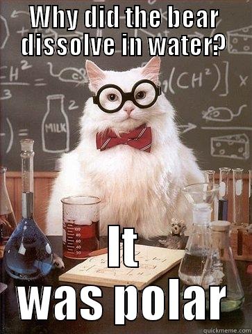 Why did the bear dissolve in water? It was polar - WHY DID THE BEAR DISSOLVE IN WATER? IT WAS POLAR Chemistry Cat