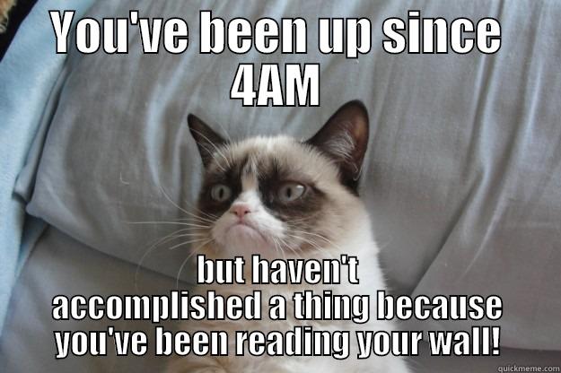 YOU'VE BEEN UP SINCE 4AM BUT HAVEN'T ACCOMPLISHED A THING BECAUSE YOU'VE BEEN READING YOUR WALL! Grumpy Cat