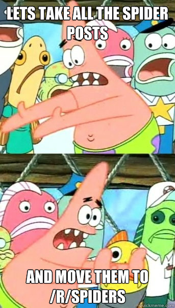 Lets take all the spider posts and move them to /r/spiders  Push it somewhere else Patrick