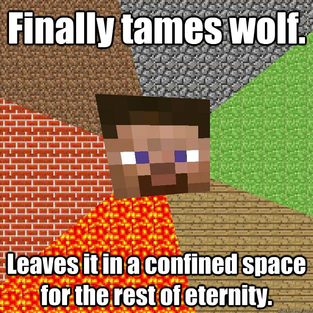 Finally tames wolf. Leaves it in a confined space for the rest of eternity.  Minecraft