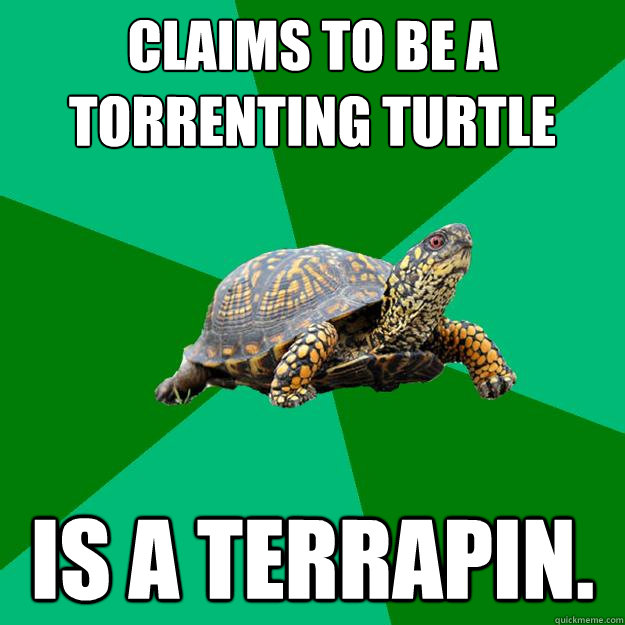 Claims to be a Torrenting Turtle Is a terrapin.  Torrenting Turtle