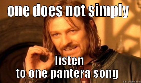 ONE DOES NOT SIMPLY  LISTEN TO ONE PANTERA SONG   Boromir