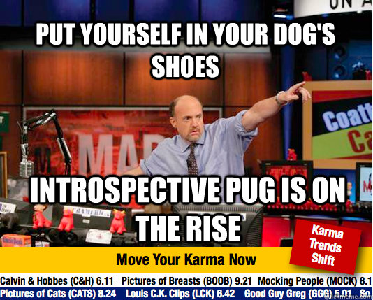 Put yourself in your dog's shoes Introspective pug is on the rise - Put yourself in your dog's shoes Introspective pug is on the rise  Mad Karma with Jim Cramer