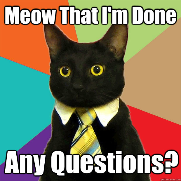 Meow That I'm Done Any Questions?  Business Cat