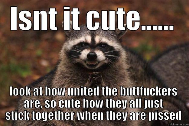 to the haters - ISNT IT CUTE...... LOOK AT HOW UNITED THE BUTTFUCKERS ARE, SO CUTE HOW THEY ALL JUST STICK TOGETHER WHEN THEY ARE PISSED Evil Plotting Raccoon