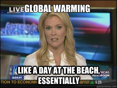 global warming like a day at the beach, essentially  Megyn Kelly