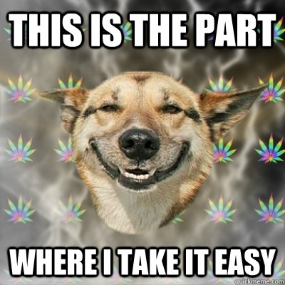 this is the part where I take it easy  Stoner Dog