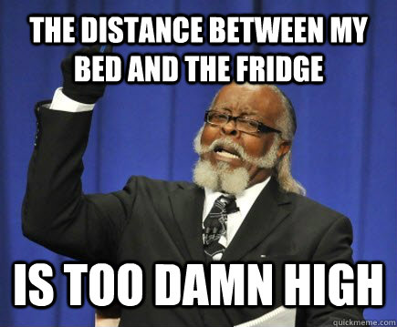 The distance between my bed and the fridge is too damn high  Too Damn High