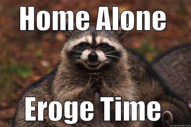 Eroge fan - HOME ALONE EROGE TIME Evil Plotting Raccoon