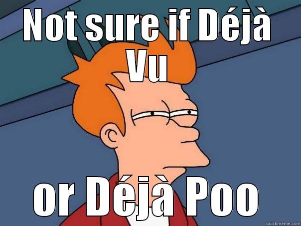 NOT SURE IF DÉJÀ VU OR DÉJÀ POO Futurama Fry