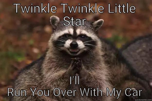 TWINKLE TWINKLE LITTLE STAR I'LL RUN YOU OVER WITH MY CAR Evil Plotting Raccoon