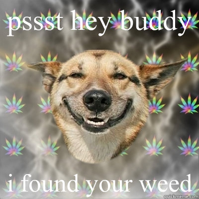 pssst hey buddy i found your weed  Stoner Dog