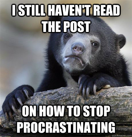 I still haven't read the post on how to stop procrastinating  Confession Bear