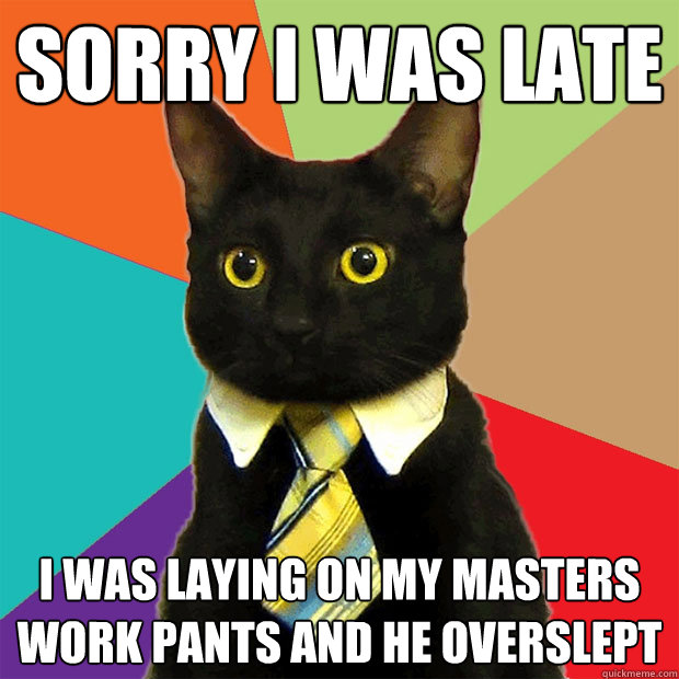 Sorry I was late I was laying on my masters work pants and he overslept  Business Cat