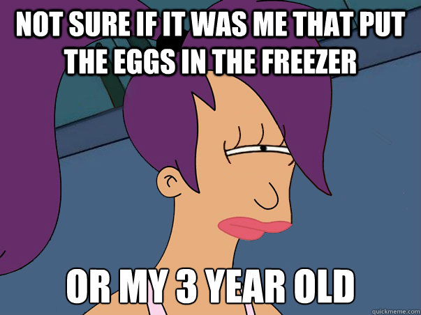 Not sure if it was me that put the eggs in the freezer or my 3 year old  Leela Futurama