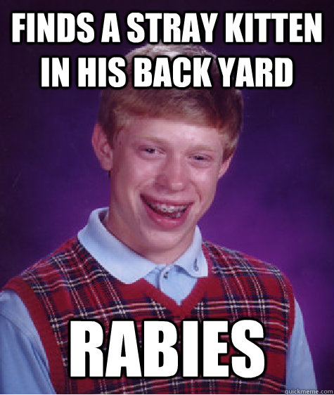 Finds a stray kitten in his back yard Rabies  Bad Luck Brian