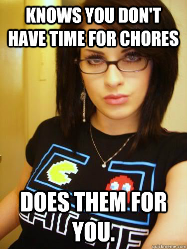 Knows you don't have time for chores Does them for you.  Cool Chick Carol