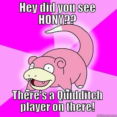 HEY DID YOU SEE HONY?? THERE'S A QUIDDITCH PLAYER ON THERE! Slowpoke