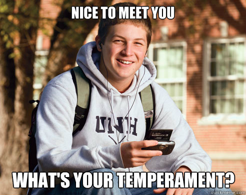 nice to meet you what's your temperament?   College Freshman