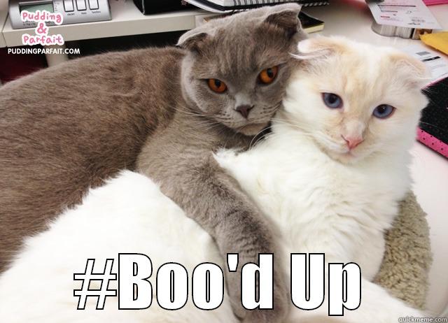 boo'd up -  #BOO'D UP Misc