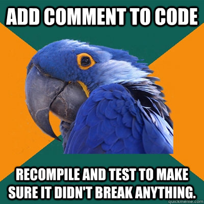 Add comment to code Recompile and test to make sure it didn't break anything.  Paranoid Parrot