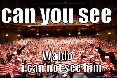 CAN YOU SEE  WALDO      I CAN NOT SEE HIM  Misc
