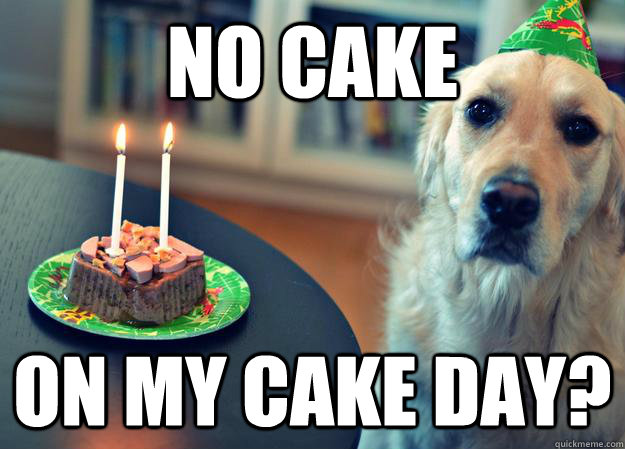 No cake on my cake day?  Sad Birthday Dog