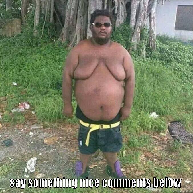 Say Something Nice -  SAY SOMETHING NICE COMMENTS BELOW Misc