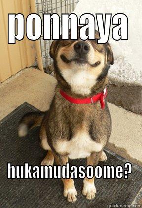 PONNAYA HUKAMUDASOOME? Good Dog Greg