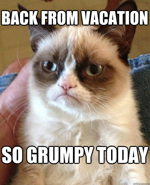 BACK FROM VACATION SO GRUMPY TODAY  Grumpy Cat