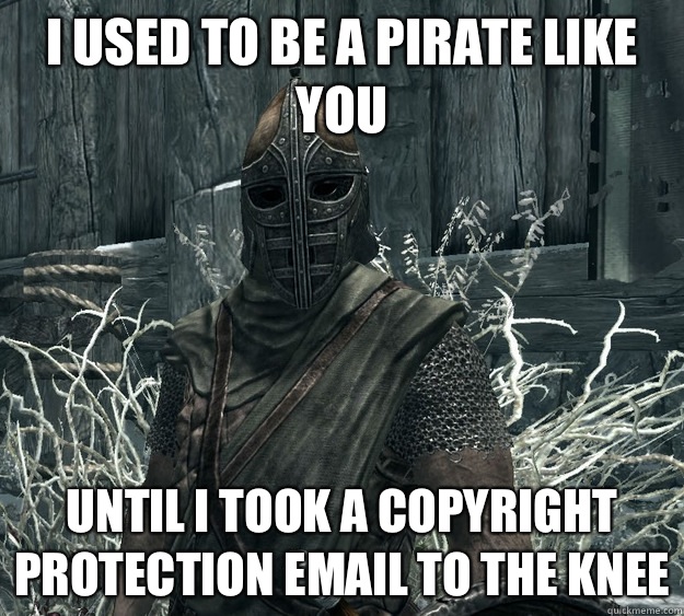 I used to be a pirate like you until i took a copyright protection email to the knee  Skyrim Guard