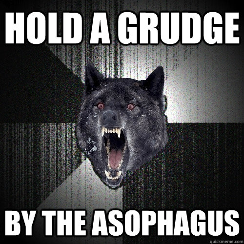 hold a grudge by the asophagus  Insanity Wolf