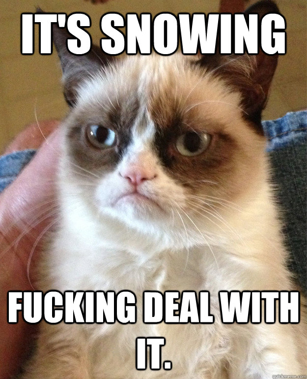 IT'S SNOWING FUCKING DEAL WITH IT.  Angry Cat