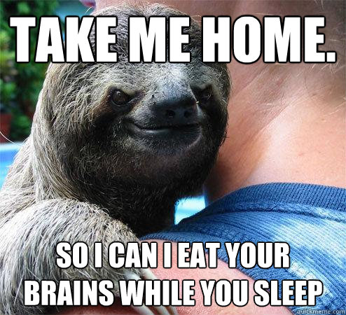 take me home. so i can i eat your brains while you sleep  Suspiciously Evil Sloth