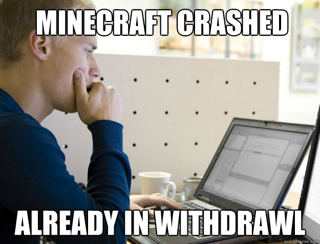 MINECRAFT crashed already in withdrawl  Programmer