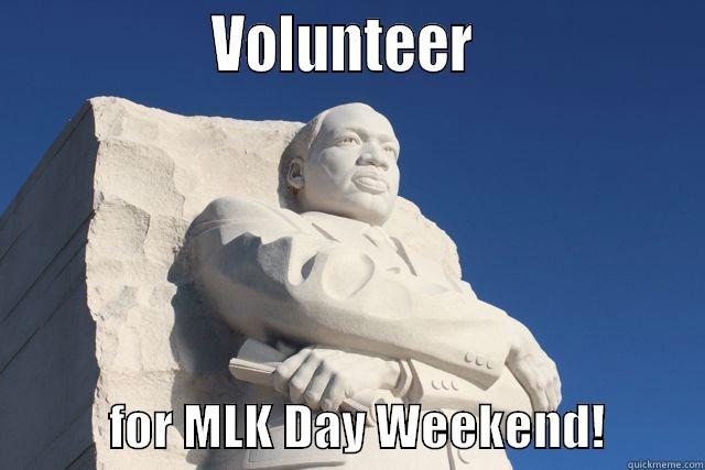                 VOLUNTEER                              FOR MLK DAY WEEKEND!          Misc