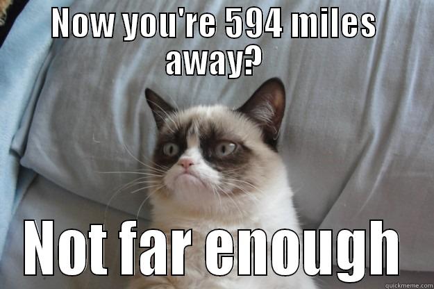 NOW YOU'RE 594 MILES AWAY? NOT FAR ENOUGH Grumpy Cat