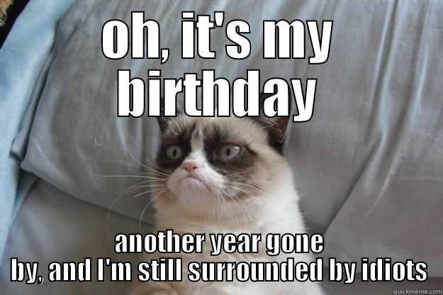 Grumpy Cat - OH, IT'S MY BIRTHDAY ANOTHER YEAR GONE BY, AND I'M STILL SURROUNDED BY IDIOTS Grumpy Cat